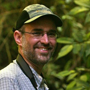 Mark Bee